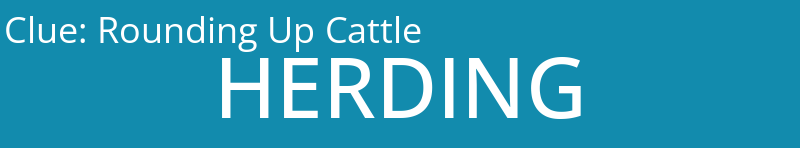 Rounding Up Cattle