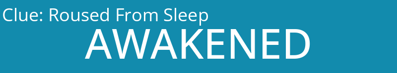 Roused From Sleep