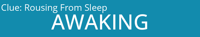 Rousing From Sleep