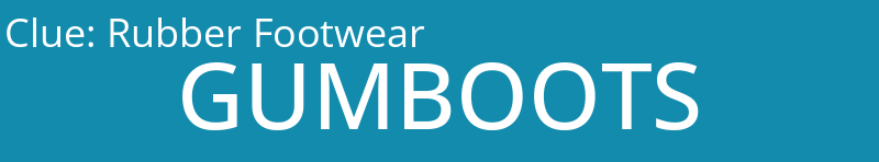Rubber Footwear