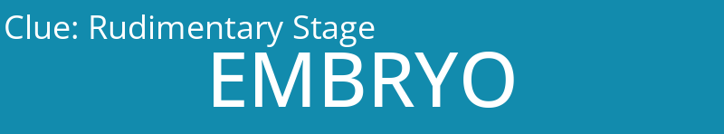 Rudimentary Stage