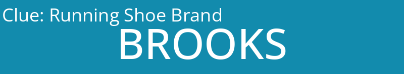 Running Shoe Brand