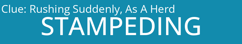 Rushing Suddenly, As A Herd