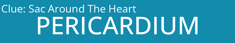 Sac Around The Heart
