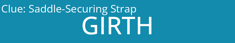Saddle-Securing Strap