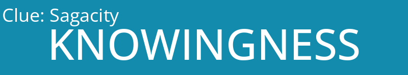 Sagacity