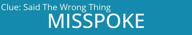 Said The Wrong Thing