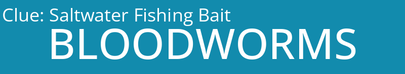 Saltwater Fishing Bait