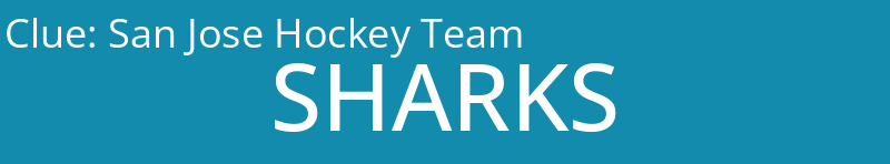 San Jose Hockey Team