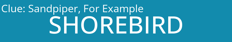 Sandpiper, For Example