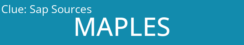 Sap Sources