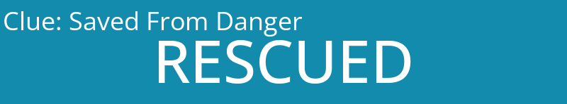 Saved From Danger