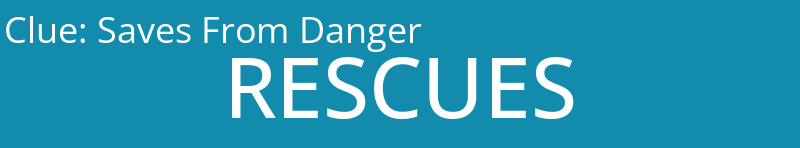 Saves From Danger