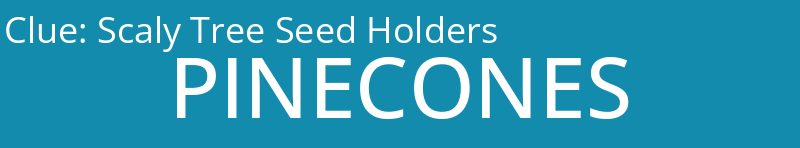 Scaly Tree Seed Holders