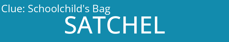 Schoolchild's Bag