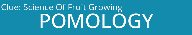 Science Of Fruit Growing