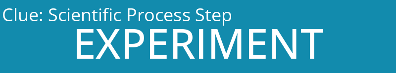 Scientific Process Step