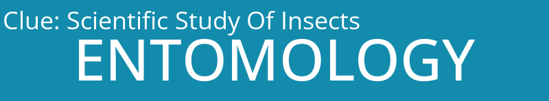 Scientific Study Of Insects