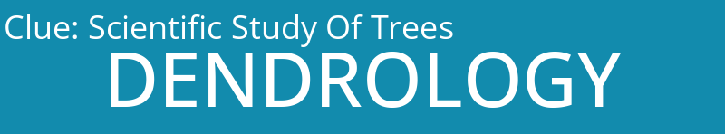 Scientific Study Of Trees