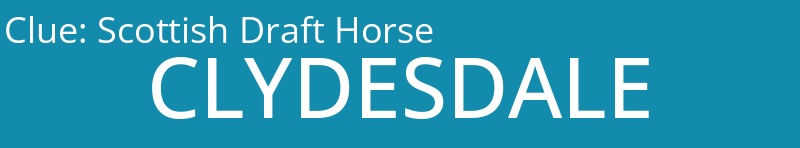 Scottish Draft Horse