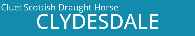 Scottish Draught Horse