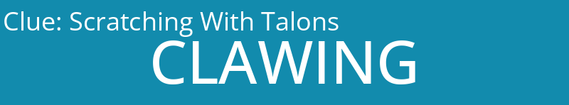 Scratching With Talons