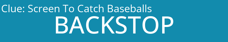 Screen To Catch Baseballs