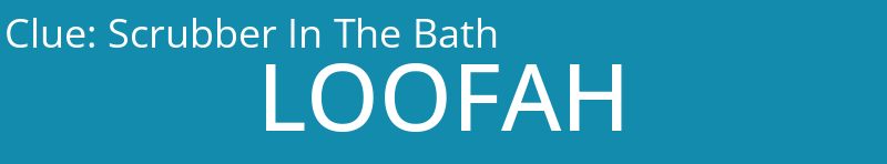 Scrubber In The Bath