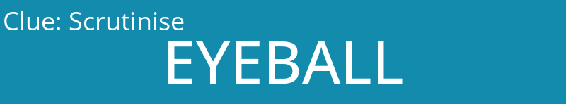 Scrutinise
