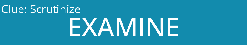 Scrutinize
