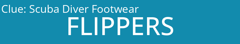 Scuba Diver Footwear