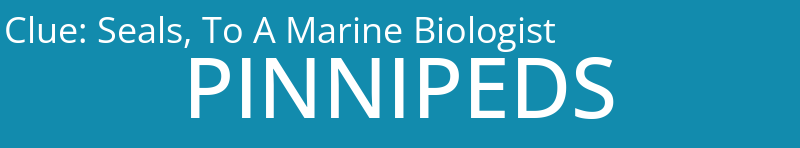 Seals, To A Marine Biologist