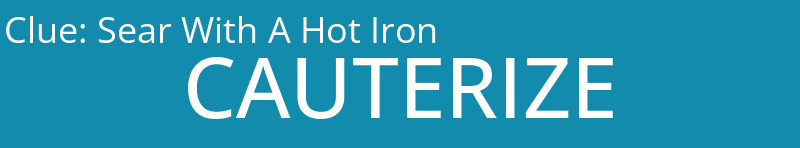 Sear With A Hot Iron