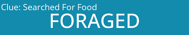 Searched For Food
