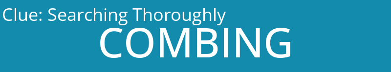 Searching Thoroughly