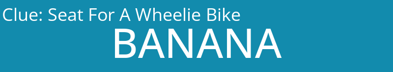Seat For A Wheelie Bike