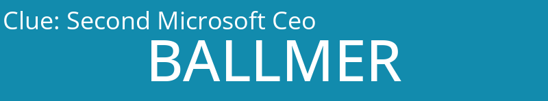 Second Microsoft Ceo