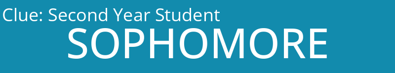 Second Year Student