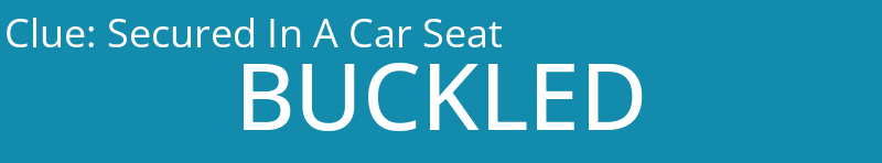 Secured In A Car Seat