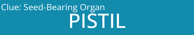 Seed-Bearing Organ