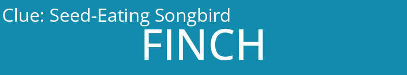 Seed-Eating Songbird