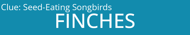 Seed-Eating Songbirds