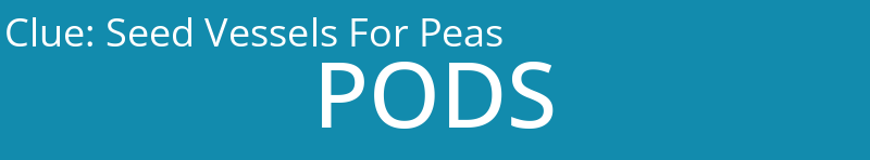 Seed Vessels For Peas