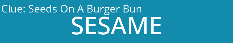 Seeds On A Burger Bun