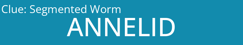 Segmented Worm
