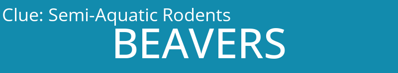 Semi-Aquatic Rodents