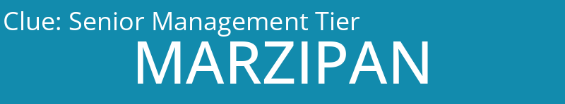 Senior Management Tier