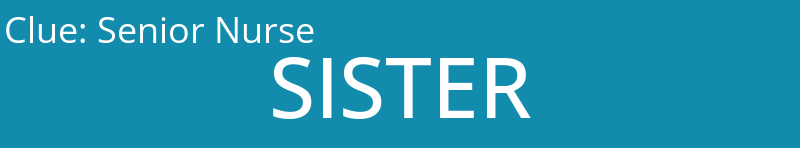 Senior Nurse