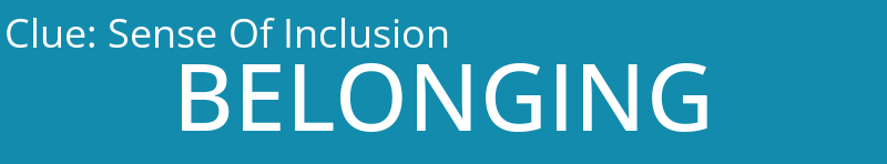 Sense Of Inclusion