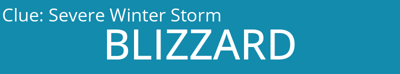 Severe Winter Storm